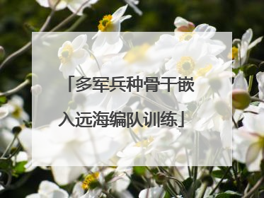 多军兵种骨干嵌入远海编队训练