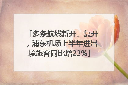多条航线新开、复开，浦东机场上半年进出境旅客同比增23%