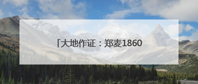 大地作证：郑麦1860绘就高“烤”“丰”景，引领小麦大面积单产提升