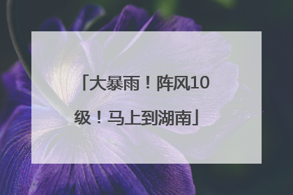 大暴雨！阵风10级！马上到湖南