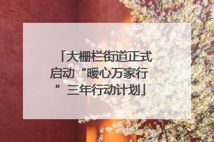 大栅栏街道正式启动“暖心万家行”三年行动计划