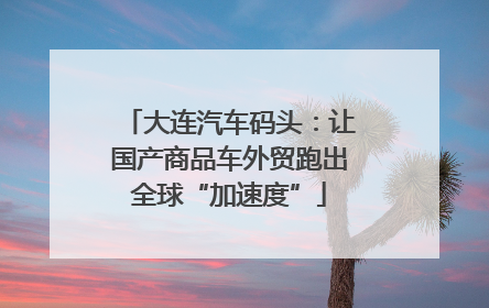 大连汽车码头：让国产商品车外贸跑出全球“加速度”