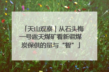 天山观察｜从石头梅一号露天煤矿看新疆煤炭保供的量与“智”