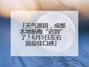 天气原因，成都本地杨梅“迟到”了！6月5日左右迎最佳口感