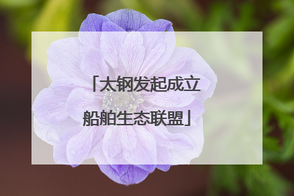 太钢发起成立船舶生态联盟