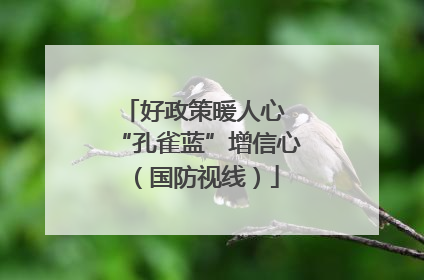 好政策暖人心 “孔雀蓝”增信心（国防视线）