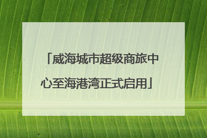 威海城市超级商旅中心至海港湾正式启用