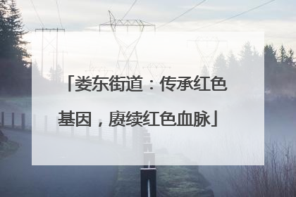 娄东街道：传承红色基因，赓续红色血脉