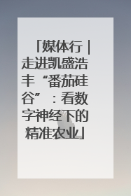 媒体行｜走进凯盛浩丰“番茄硅谷”：看数字神经下的精准农业