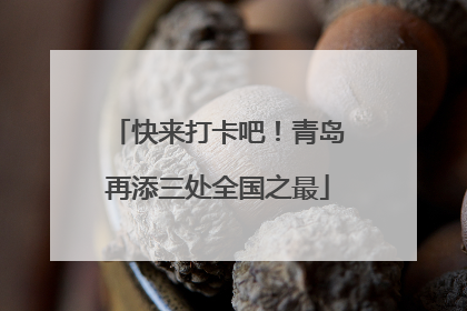 快来打卡吧！青岛再添三处全国之最