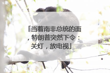 当着南非总统的面，特朗普突然下令：关灯，放电视