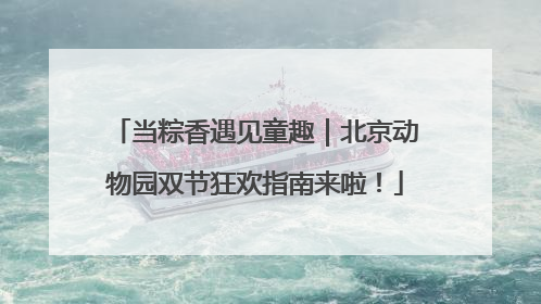 当粽香遇见童趣｜北京动物园双节狂欢指南来啦！