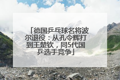 德国乒乓球名将波尔退役：从孔令辉打到王楚钦，同5代国乒选手竞争