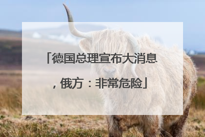 德国总理宣布大消息，俄方：非常危险