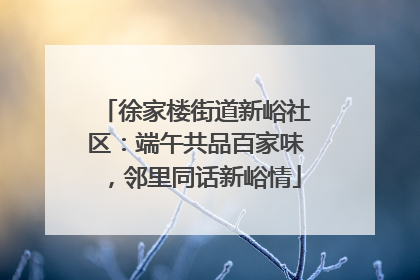 徐家楼街道新峪社区：端午共品百家味，邻里同话新峪情
