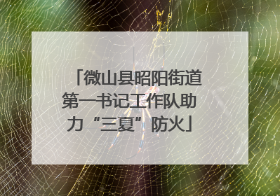 微山县昭阳街道第一书记工作队助力“三夏”防火