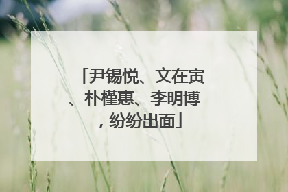 尹锡悦、文在寅、朴槿惠、李明博，纷纷出面