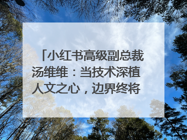 小红书高级副总裁汤维维：当技术深植人文之心，边界终将化为桥梁｜聚焦2025文化强国建设高峰论坛