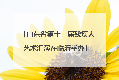 山东省第十一届残疾人艺术汇演在临沂举办