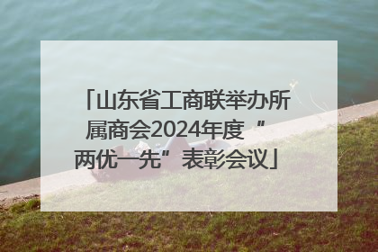 山东省工商联举办所属商会2024年度“两优一先”表彰会议