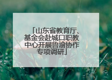 山东省教育厅、基金会赴城口职教中心开展鲁渝协作专项调研