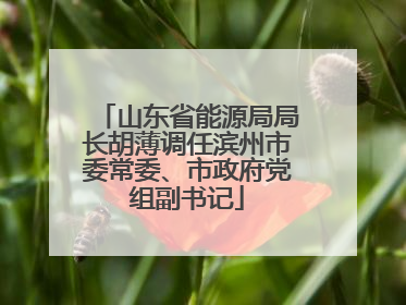 山东省能源局局长胡薄调任滨州市委常委、市政府党组副书记