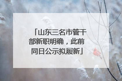 山东三名市管干部新职明确，此前同日公示拟履新