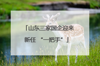 山东三家国企迎来新任 “一把手”
