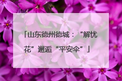 山东德州德城：“解忧花”邂逅“平安伞”