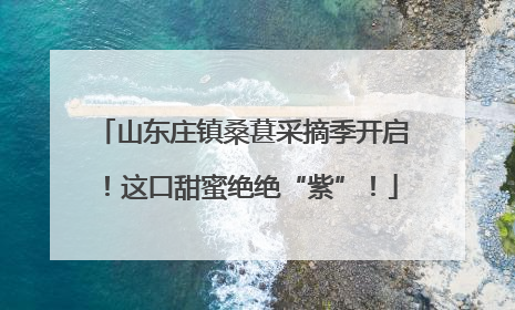 山东庄镇桑葚采摘季开启！这口甜蜜绝绝“紫”！