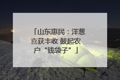 山东惠民：洋葱喜获丰收 鼓起农户“钱袋子”