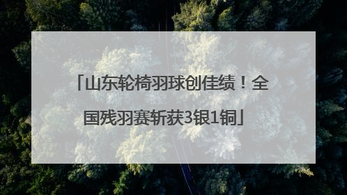 山东轮椅羽球创佳绩！全国残羽赛斩获3银1铜