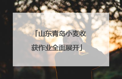 山东青岛小麦收获作业全面展开