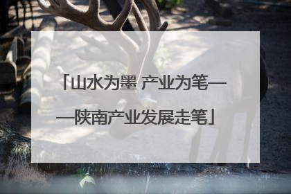 山水为墨 产业为笔——陕南产业发展走笔