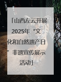 山西左云开展2025年“文化和自然遗产日”非遗宣传展示活动