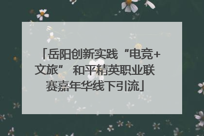 岳阳创新实践“电竞+文旅” 和平精英职业联赛嘉年华线下引流