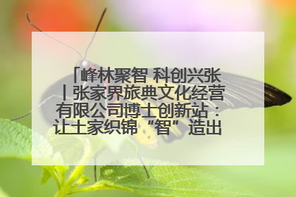 峰林聚智 科创兴张丨张家界旅典文化经营有限公司博士创新站：让土家织锦“智”造出非遗新传奇