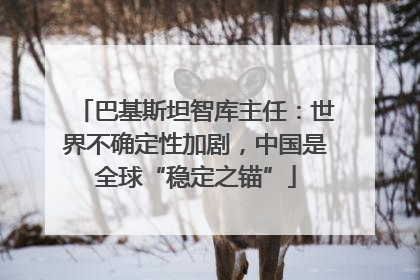 巴基斯坦智库主任：世界不确定性加剧，中国是全球“稳定之锚”