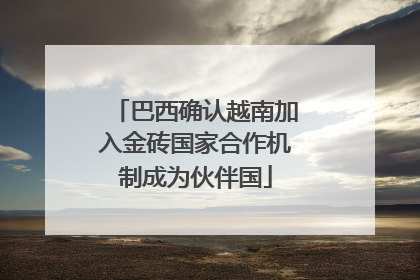 巴西确认越南加入金砖国家合作机制成为伙伴国