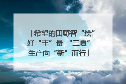 希望的田野智“绘”好“丰”景 “三夏”生产向“新”而行