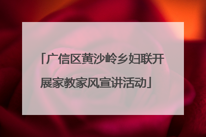 广信区黄沙岭乡妇联开展家教家风宣讲活动