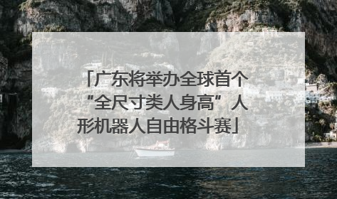 广东将举办全球首个“全尺寸类人身高”人形机器人自由格斗赛