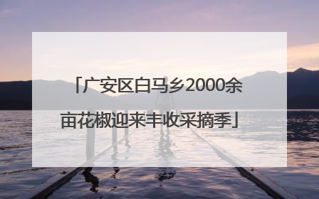 广安区白马乡2000余亩花椒迎来丰收采摘季
