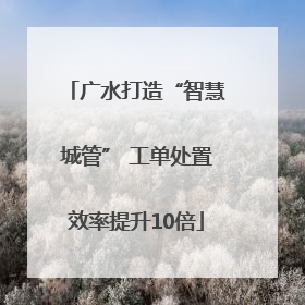 广水打造“智慧城管” 工单处置效率提升10倍