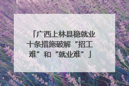 广西上林县稳就业十条措施破解“招工难”和“就业难”