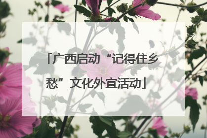 广西启动“记得住乡愁”文化外宣活动