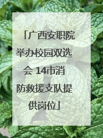 广西安职院举办校园双选会 14市消防救援支队提供岗位