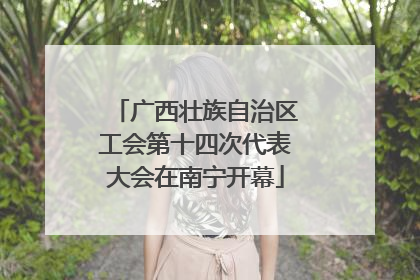 广西壮族自治区工会第十四次代表大会在南宁开幕