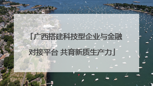 广西搭建科技型企业与金融对接平台 共育新质生产力