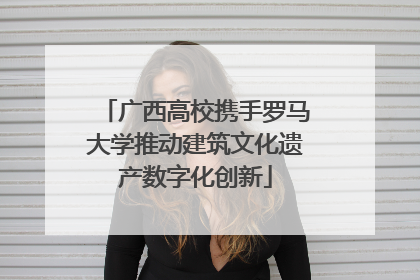 广西高校携手罗马大学推动建筑文化遗产数字化创新